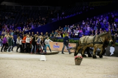 Jumping Amsterdam 2016 - ¬© Luifoto.nl