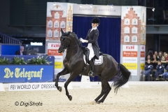 Denise Nekeman - Boston Sth
Jumping Amsterdam 2017
¬© DigiShots