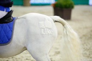 Jumping Amsterdam 2016 -  © Luifoto.nl