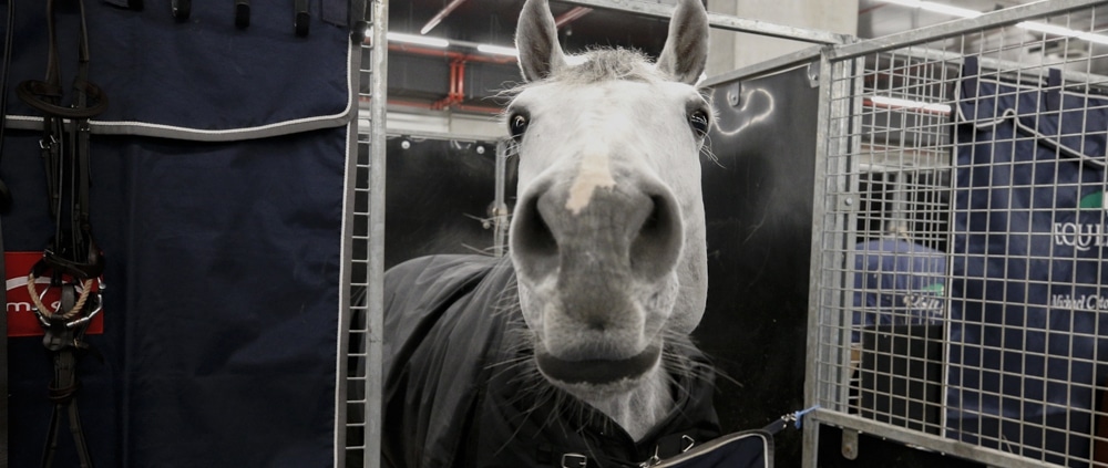 Stable & Rent samenwerking