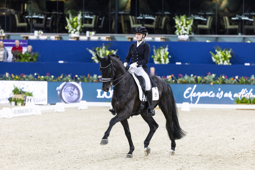 Lara van Nek (NED) - All at OnceJumping Amsterdam 2026© DigiShots